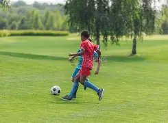 赛期即将揭,赛制或将迎,来变革,金宝博188bet体育,金宝博188bet体育官网,金宝博188bet体育官方,金宝博188bet体育下载