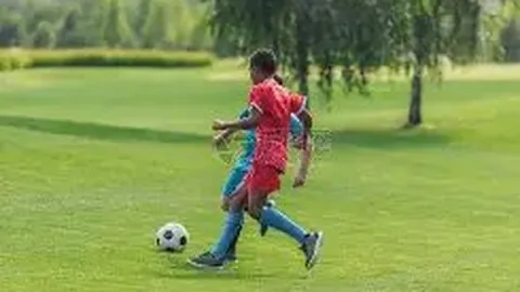 CBA赛期即将揭晓，赛制或将迎来变革