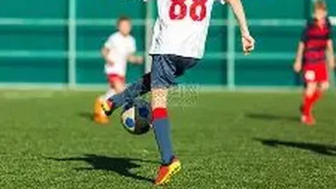 金宝博206bet体育 产品 001903 20r