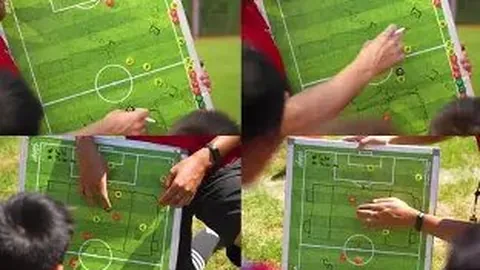 金宝博206bet体育 产品 001919 y6g