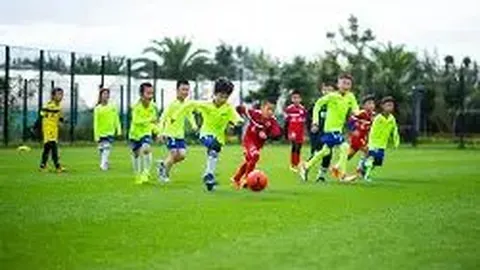 金宝博206bet体育 产品 094734 wse