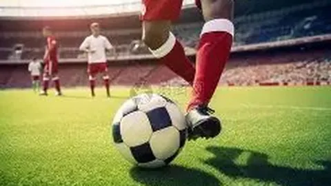 金宝博206bet体育 资讯 101246 5sr